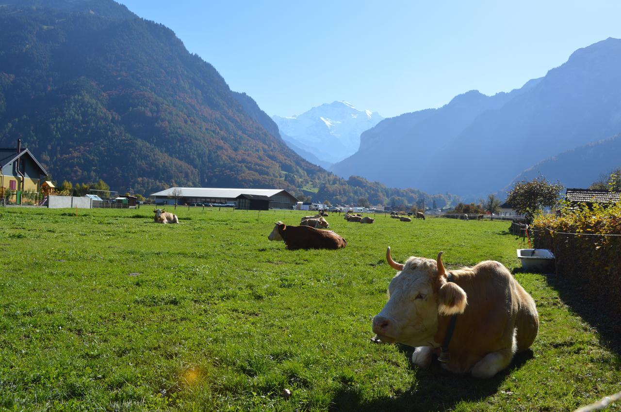 Jungfrau Family Holiday Home Matten bei Interlaken Екстериор снимка